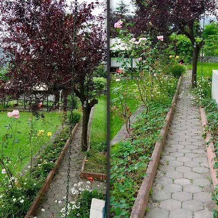 Villa Meserya Ev *
